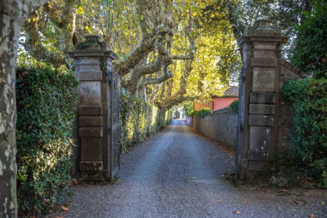 itallian villa entrance with trees