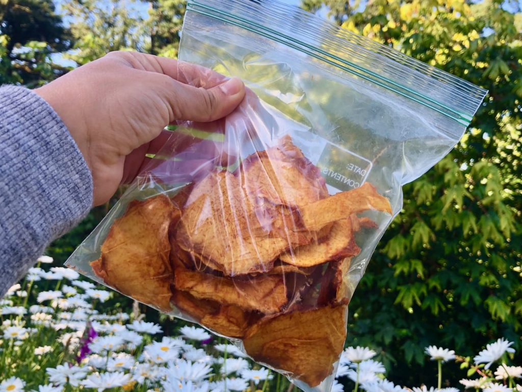 dehydrated peaches in a baggie